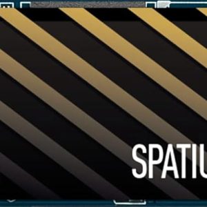 Твердотельный накопитель 1000Gb SSD MSI SPATIUM M371 M.2 PCIe NVMe R2000Mb/s W1600MB/s SPATIUM M371